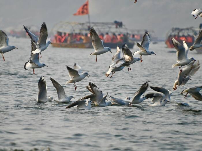 India Old Ganga River