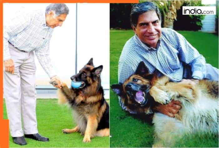 You won't believe what former Tata Group boss left for his pet Tito 2 Ratan Tata will: You won't believe what former Tata Group boss left for his pet Tito
