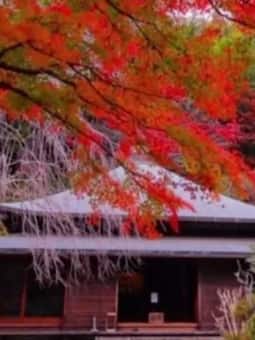 700 साल पुराना तलाक टेंपल, मह‍िलाओं को म‍िलता है इंसाफ