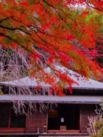 700 साल पुराना तलाक टेंपल, मह‍िलाओं को म‍िलता है इंसाफ