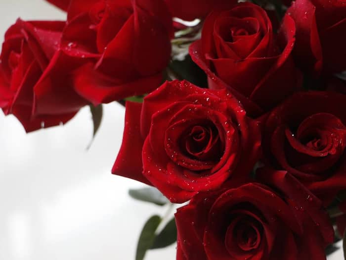 Hanuman Jayanti Upay  4