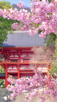 Top 10 Largest Islands Countries In The World