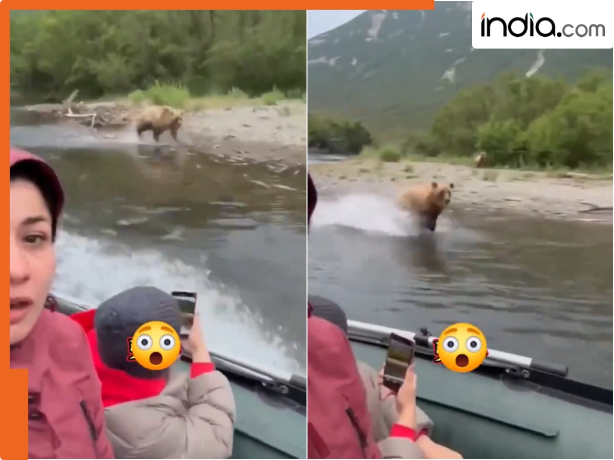 स्पीड बोट के पीछे दौड़ा खूंखार भालू, डर से लोगों की रूह तक कांप गई ...