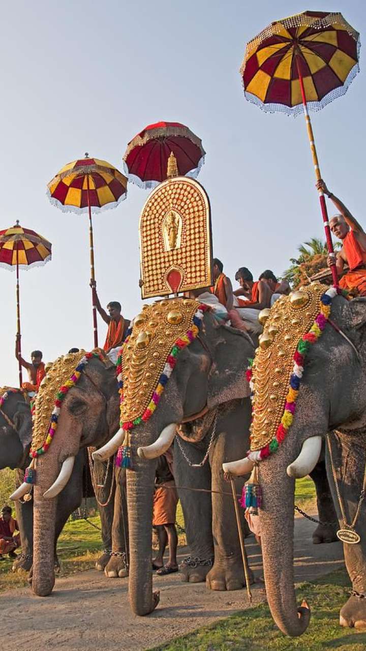 FASCINATING FACTS ABOUT KERALA visual data 5