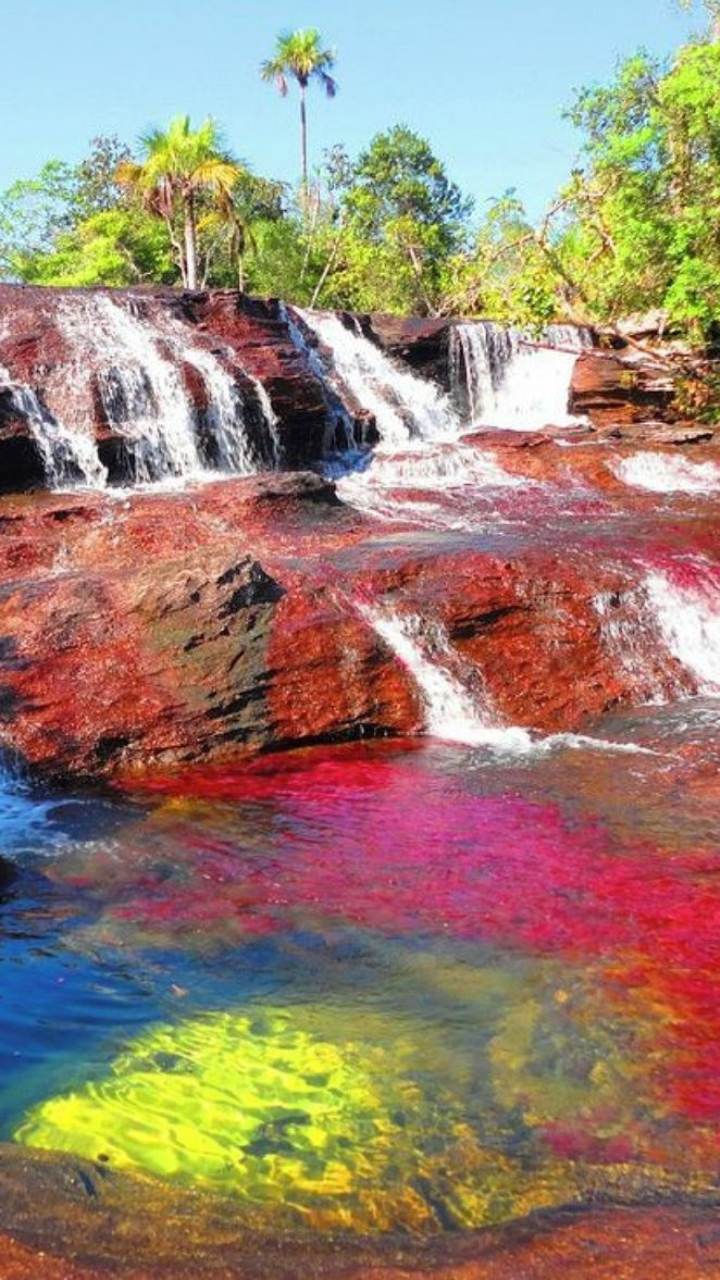 Exceptional Rivers Top 7 Famous Rivers Celebrated For Their Unique Features