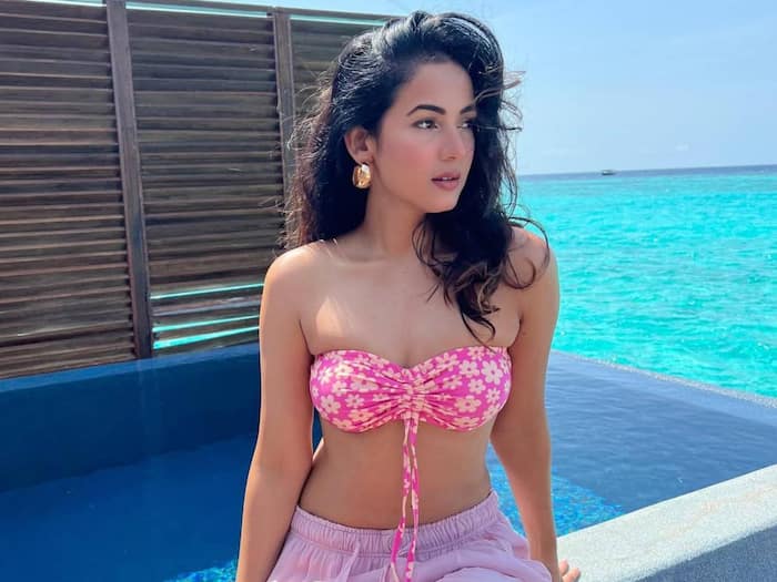 Girl sonal chauhan pics
