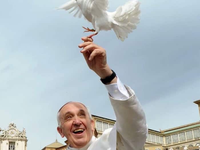 Pope francis photos