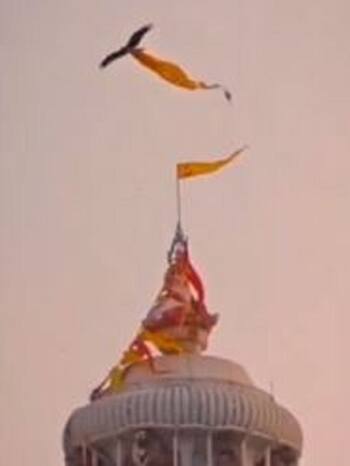 जगन्नाथ मंदिर से ध्वज ले उड़ा बाज, क्या होगी अनहोनी? जानें रहस्य