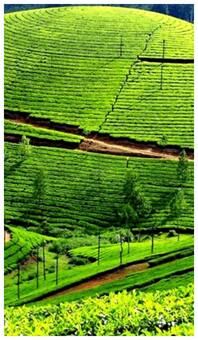 कश्मीर भी इस हिल स्टेशन के आगे फेल है