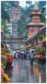 भारत का वो राज्य जहां करोड़ों रुपए कमाने के बाद भी सरकार को नहीं देना होता 1 रुपए भी TAX