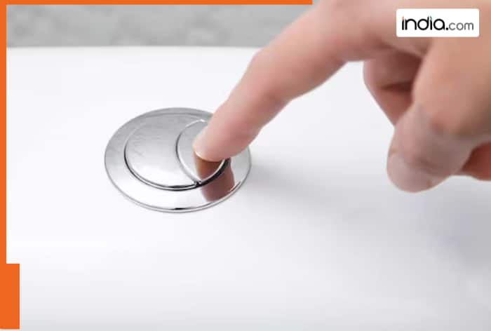 Toilet flush has a large and a small button due to..., reason will surprise you 2 toilet flush