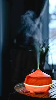 7 Best Aroma Diffusers to Refresh Your Space & Soothe Your Senses