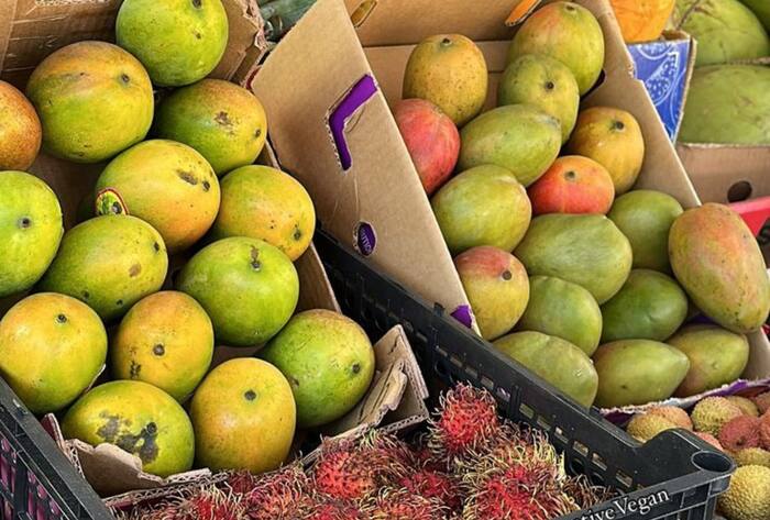 Use these tips to buy ripe and sweet mangoes meetha aam kaise pahchane in hindi