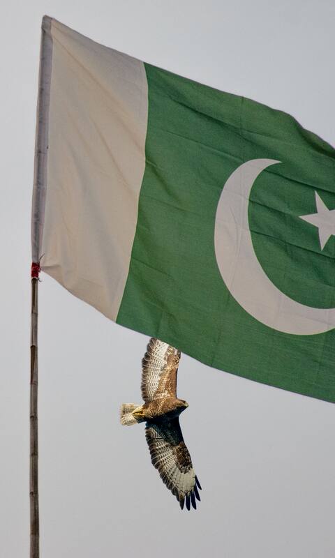 national animal of Pakistan