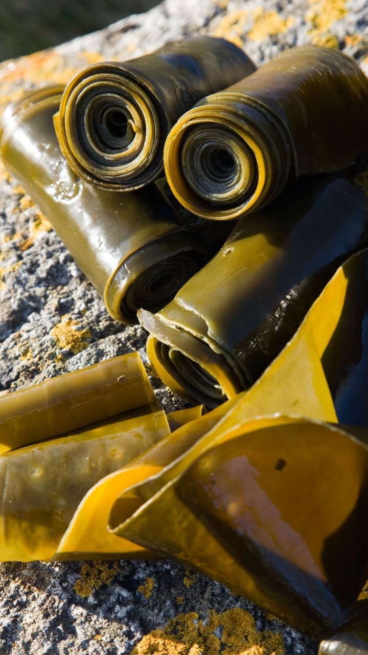 Seaweed and Algae: Seaweed and algal merchandise esteem nori and spirulina hold some B12 but its bioavailability is self-discipline to alternate along with quality and absorption charges.
