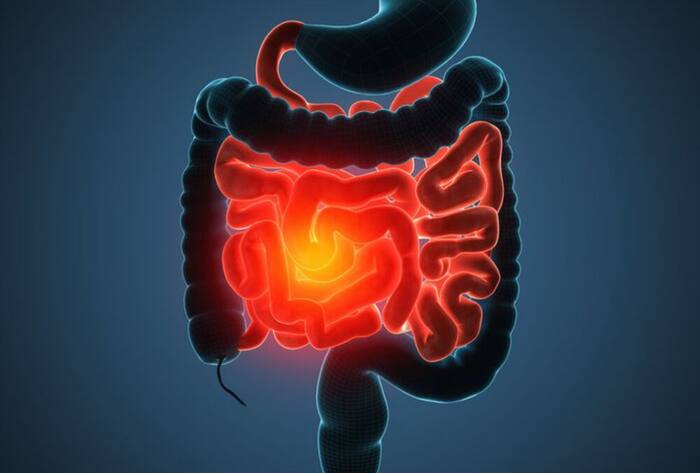 Which vitamin deficiency causes weak intestines vitamin b12 deficiency in hindi