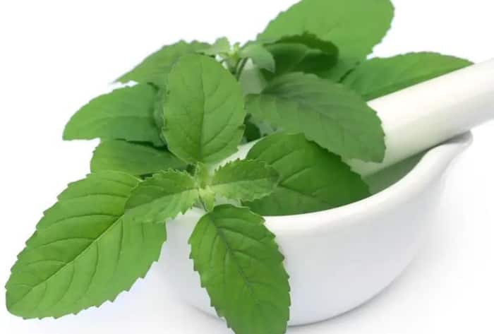 Shehnaz hussain tells about how to increase collagen in your skin with easy and cheap ways collagen badhane ke tareeke in hindi