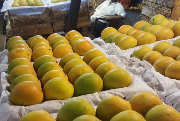 Use these tips to buy ripe and sweet mangoes meetha aam kaise pahchane in hindi