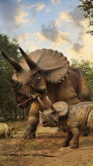 5 animals that outlived dinosaurs