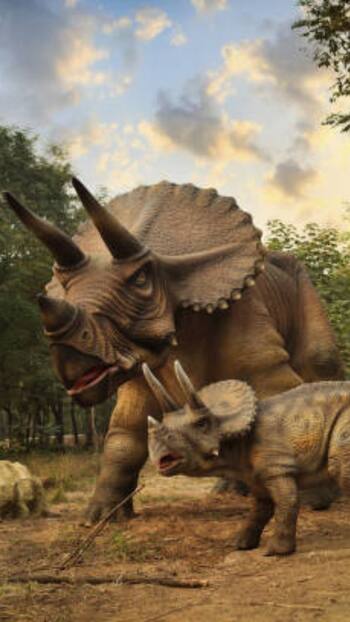 5 animals that outlived dinosaurs