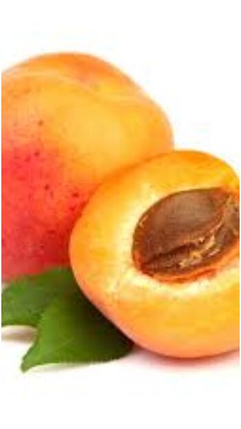 मालामाल बना देगा इस फल का तेल, 15 लाख रुपये में शुरू करें ये बिजनेस