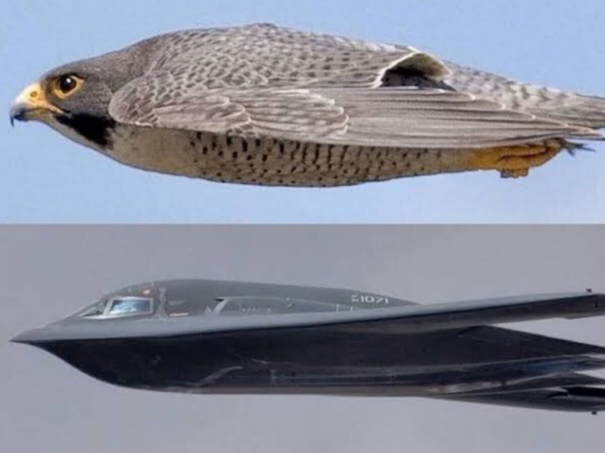Pakistan R B 2 आसमान में मंडराता काल है विनाशकारी वेपन B-2, दुनिया में बचे हैं सिर्फ ...
