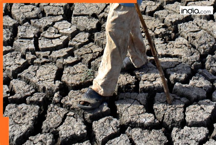 The Earth Is Drying Out—and So Are Our Hopes: Why This Silent Crisis Matters to You