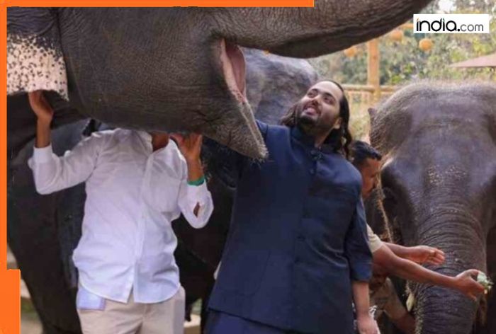‘Animals are trained to…’: Top 5 myths BUSTED about Mukesh Ambani’s son Anant Ambani’s Vantara in Jamnagar