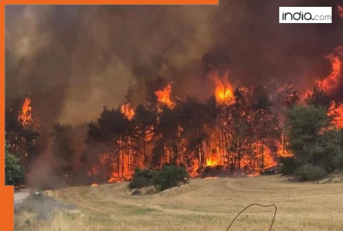 Israel battles worst wildfires in a decade, Netanyahu declares national emergency as flames grow closer to…
