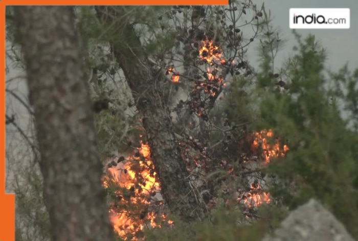 Massive wildfire rages through Israel; thousands of residents evacuated