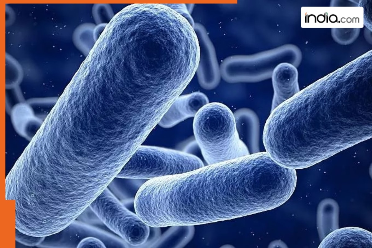 Dangerous antibiotic-resistant bacteria discovered in Red Sea, Mediterranean