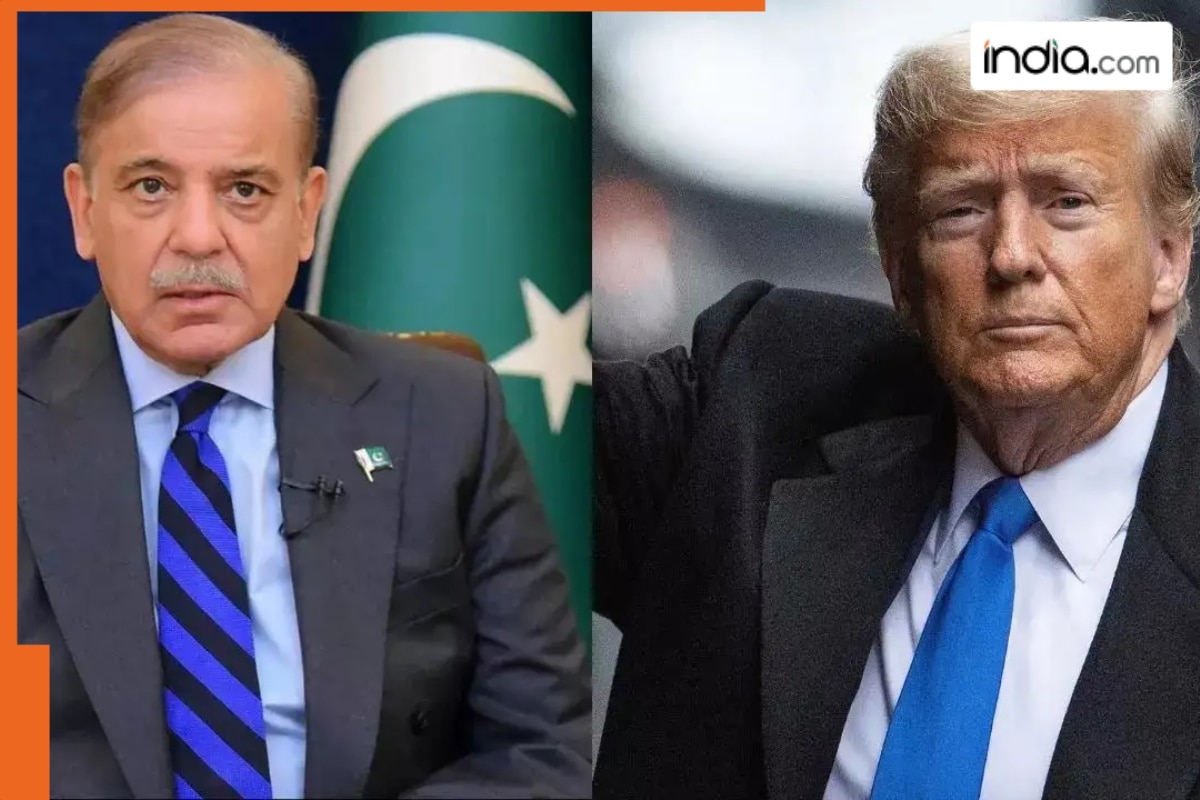 Pakistan PM Shehbaz Sharif expresses gratitude to US leadership for arranging peace