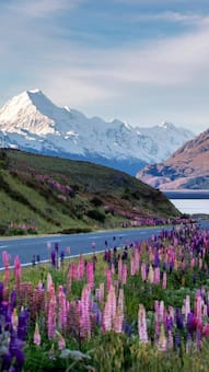 Top 10 Countries With The Most Unique Climates