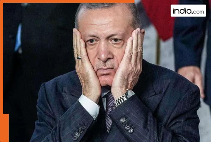 Turkey's anti-India move backfires! Now faces a loss of Rs 770 crore due to..., Erdogan in panic mode