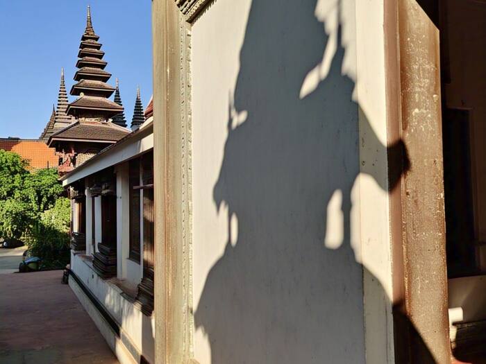 Vastu Shastra tree shadow impact
