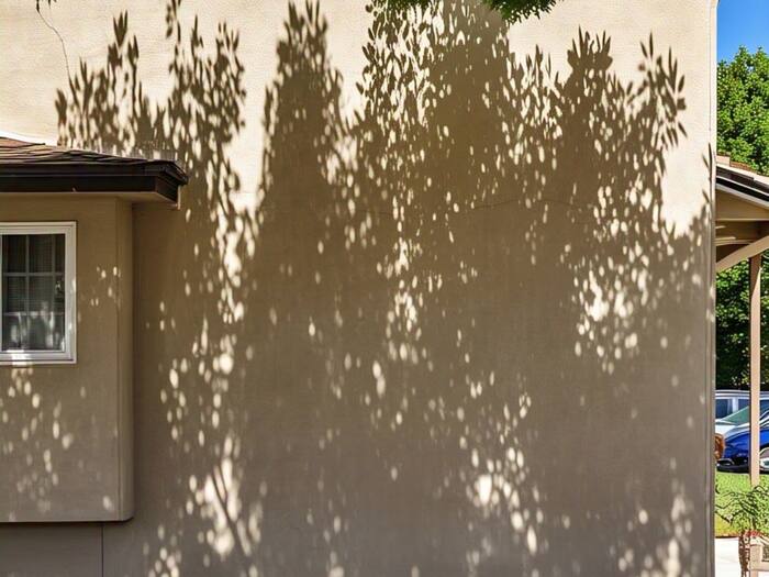 Vastu Shastra tree shadow remedies
