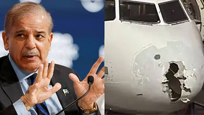 WhatsApp Image 2025 05 24 at 7 09 44 AM