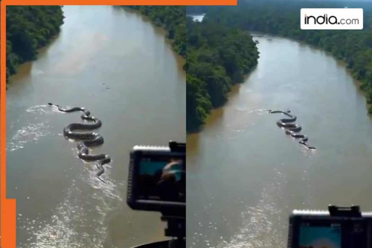 Giant Anaconda Discovered in the Amazon is the World's Biggest Snake, image size:1200x800