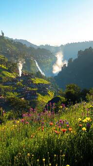 जल्द खुलने वाली है 'फूलों की घाटी', जानिये यहां के बारे में