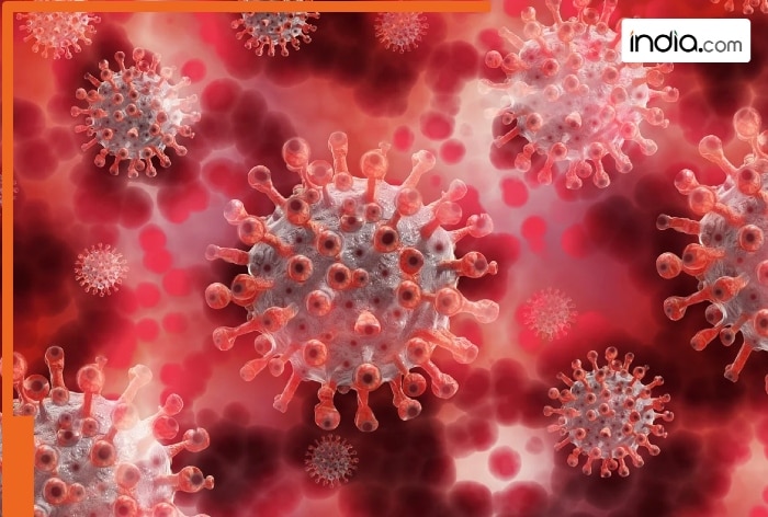 COVID-19 cases cross 1000 mark, highest cases are from…