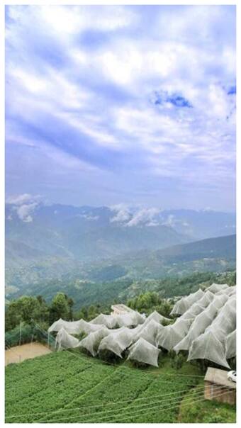 फागू- एक ऐसा हिल स्टेशन जिसके आगे फेल हैं सारे हिल स्टेशन