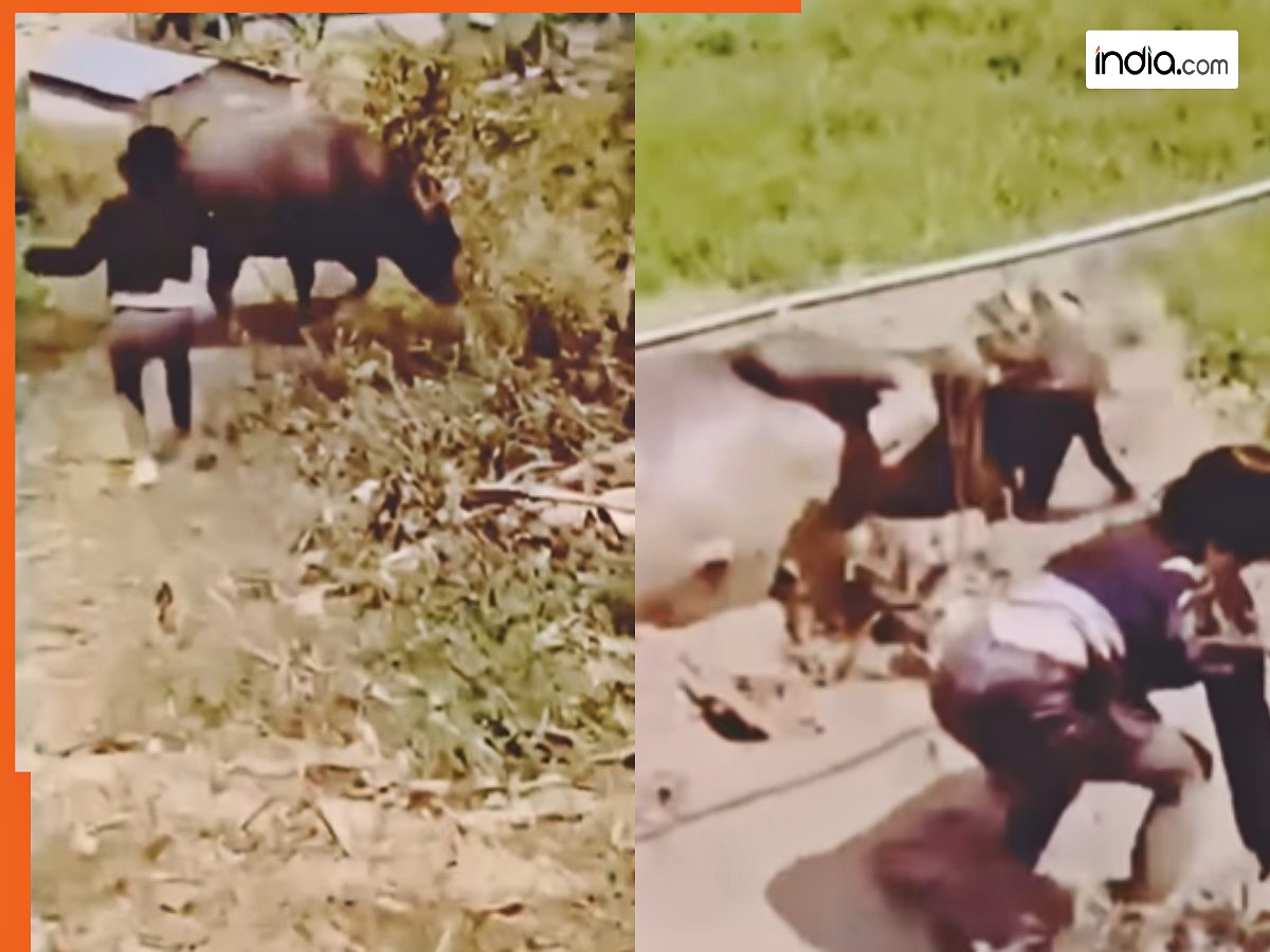 Ladki Ka Video: ‘गई भैंस पानी में’ कहावत तो खूब सुनी होगी, आज अपनी आंखों से देख लो | देखिए वीडियो
