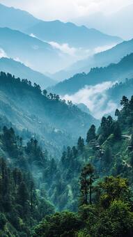 नैनीताल से भी सुंदर है ये हिल स्टेशन, हिमाचल-उत्तराखंड में नहीं, यहां है