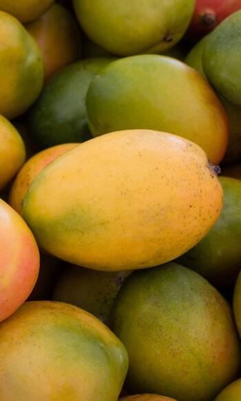 आम खाने के कितनी देर बाद पीना चाहिए पानी? जानिए सही समय