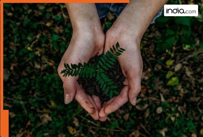 India’s silent emergency: Why saving nature is saving ourselves