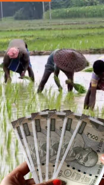 पीएम किसान की 20वीं किस्त का इंतजार खत्म! जानें कब आएगी अगली राशि