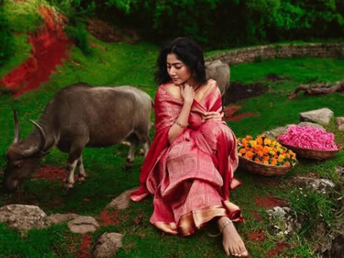 Sai pallavi controversy