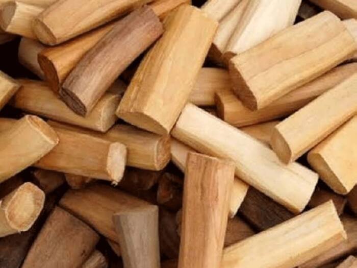 Sandalwood tree cost