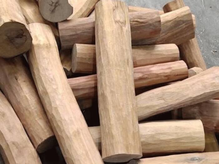 Sandalwood tree one kg wood