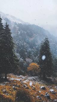 भारत के 5 हिल स्टेशन जिनके विदेशी भी हैं मुरीद